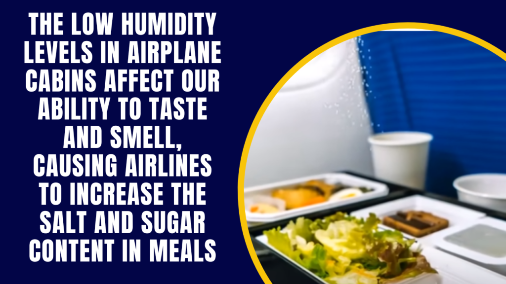  The Mystery of Airplane Food 