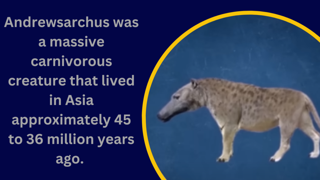 Andrewsarchus: The Enormous Carnivorous "Wolf"