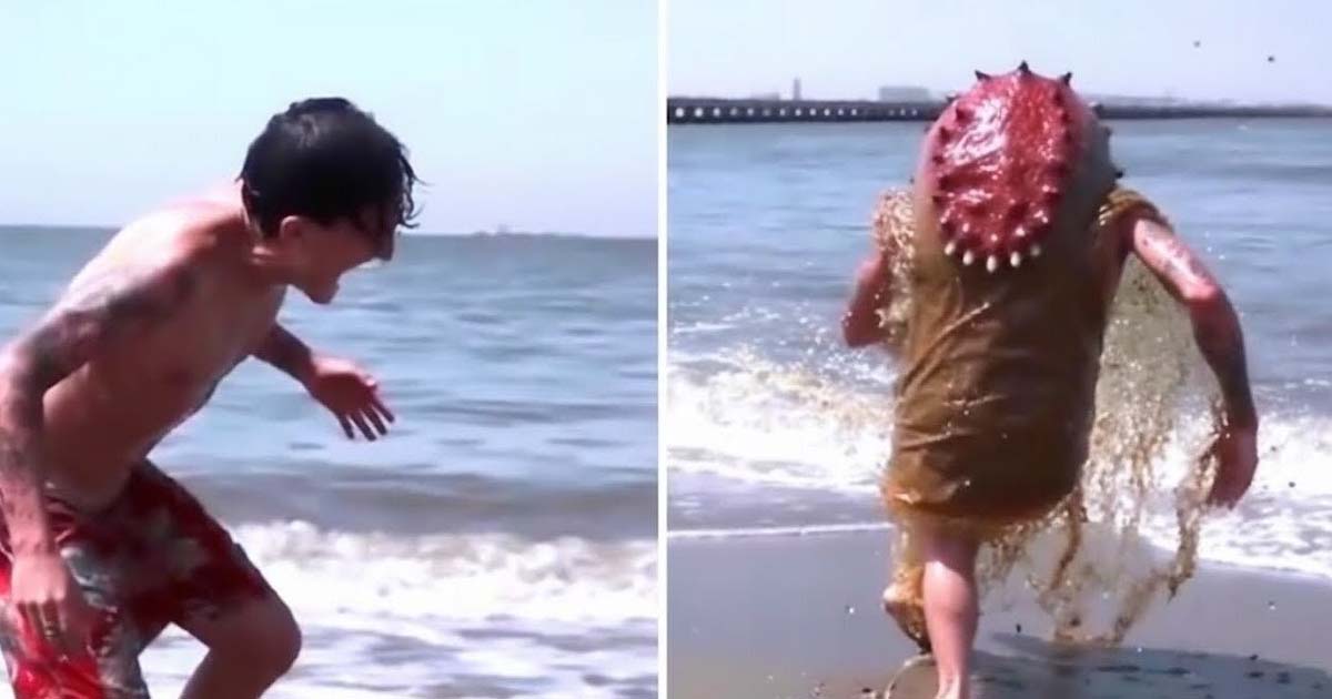 Man Swimming In The Sea Panicked When A Giant Creature Swallowed His Head