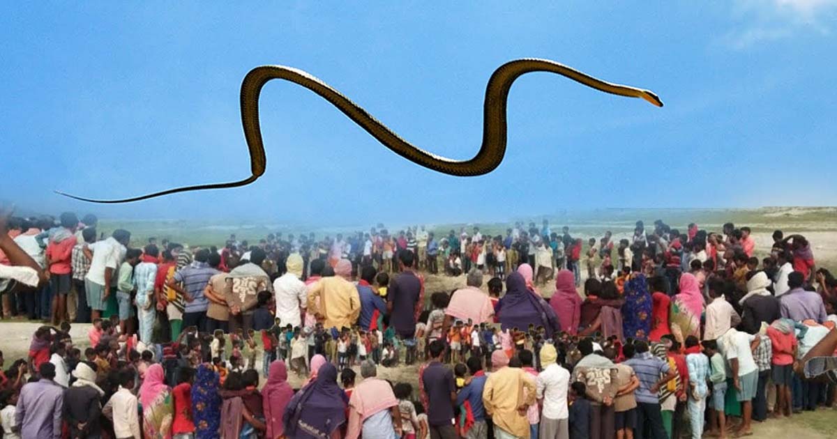 Suddenly A Strange Snake Appeared In The Sky Causing The People Below To Panic