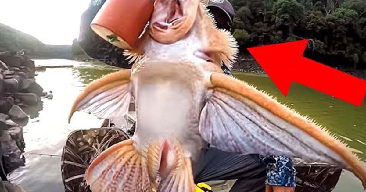 Terrifying Creatures Caught By Fishermen That Were Never Meant To Be Seen