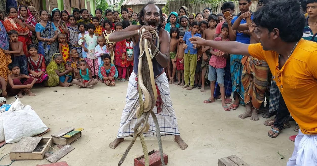 The Action Of This Man Performing Art Snakes On The Street Will Make You Unable To Believe Your Eyes