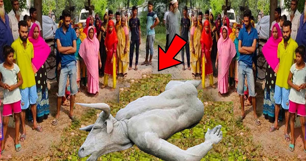 Villagers Were Shocked When They Discovered A Half Human Half Buffalo Creature Lying In The Field