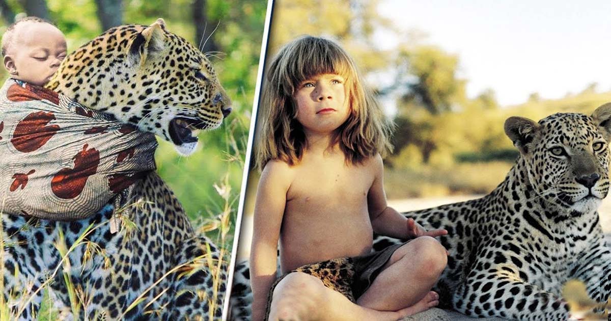 Amazing Discovery : The Farmer Found An 18-Month-Old Boy Who Was Raised By A Leopard